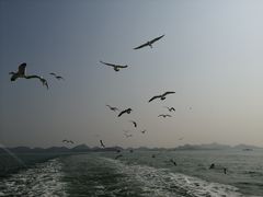 -海驴岛(荣成市)
