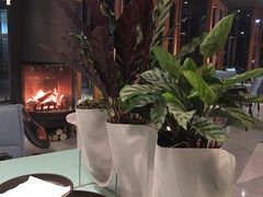 -sugarman espresso素饮糖人高新咖啡工厂