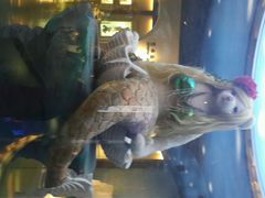 -成都泰迪熊博物馆