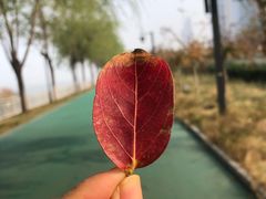 -武昌江滩