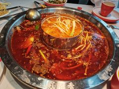 红锅锅底-蜀滋香鲜鱼美蛙火锅(339店)