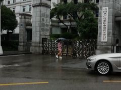 -老街无刺鲫鱼