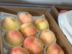 -南汇新场正宗水蜜桃采摘