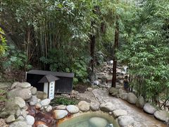 -三江森林温泉度假区