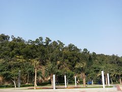 -野狸岛