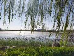 -天津东丽湖风景区