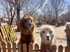 -水上乐园·欢乐世界