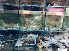 -东海章鱼馆(恒瑞街店)