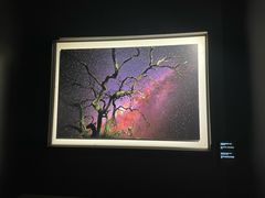 -罗红摄影艺术馆