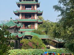 -桂湖森林公园