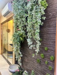 -芳朵美容养生SPA