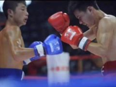 -M.S拳击泰拳馆(大学路店)