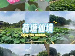 -广州莲花山旅游区