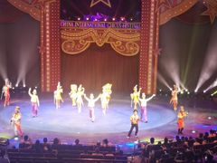 -珠海横琴长隆《卡卡虎奇遇记》