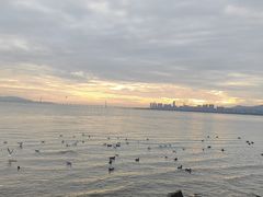 -深圳湾公园(南山区)