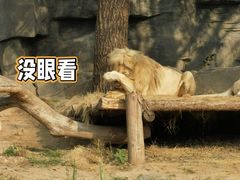 -北京野生动物园