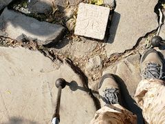 -阳台山自然风景区