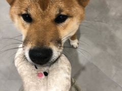 -NOTBAD 须时·咖啡馆