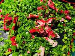 韭菜牛肉-小龙翻大江文化火锅(宽窄店)