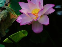 -烈士陵园(地铁站)