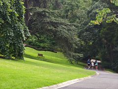 -墨尔本皇家植物园
