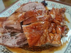 烧鸭-聂记粤菜馆(鼓西路店)