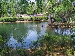 -长白岛森林公园