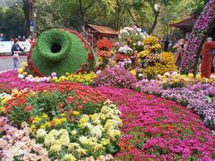 -杭州植物园