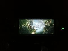 -星河寰宇IMAX影城(星河WORLD·COCO Park店)