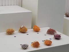 -青岛贝壳博物馆