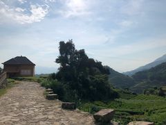 -杨家堂村