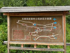 -五营国家森林公园