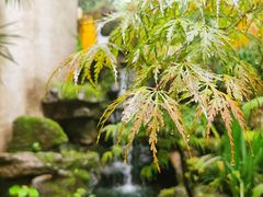 -润泽天·湘味家宴(岳麓山店)