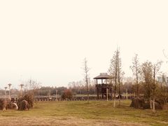 -滨湖塘西河公园