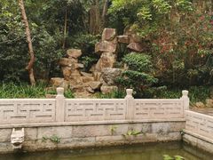 -深圳国际园林花卉博览园