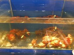 -鱼市酒店(威海水产批发市场店)