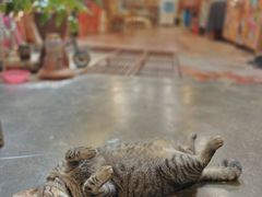 -槟城街头艺术街区