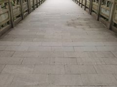-南山植物园