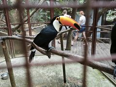 -海南槟榔谷黎苗文化旅游区
