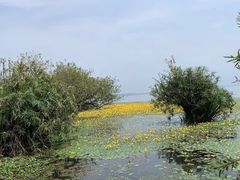 -西昌邛海宾馆