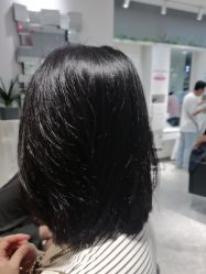 -爱维丽