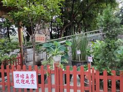 -荔湾湖公园