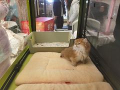 -吾悦广场(南京鼓楼店)