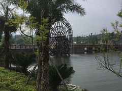 -枫香湖儿童公园