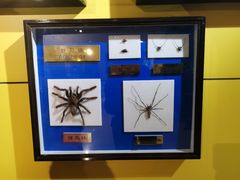 -上海昆虫博物馆