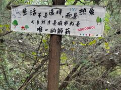 -青龙山生态文化旅游区(慈云寺)