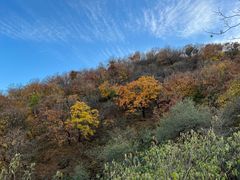 -北京西山国家森林公园