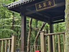 -句容茅山景区