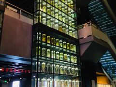 -广东中医药博物馆