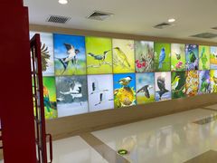 -高新活力汇Vitality